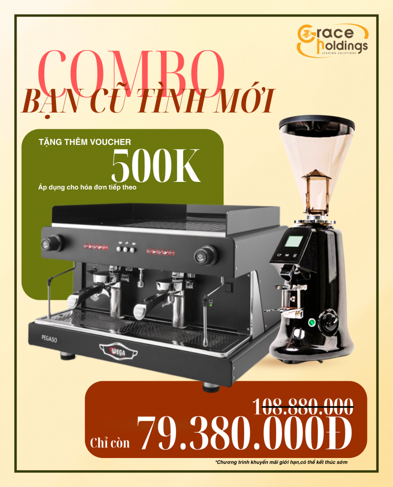 COMBO KHUYẾN MÃI: WEGA PEGASO 1GR + PM600A